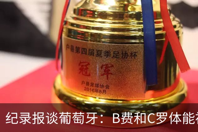 纪录报谈葡萄牙：B费和C罗体能被逼到了极限 主力未得到充分休息